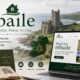 mbaile: Exploring the Digital Evolution and Cultural Impact